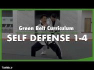 تمرین قسمت اول کمربند سبز فرم تکواندو - Self Defense